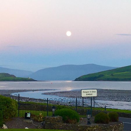 Coastline House Bed & Breakfast Dingle Luaran gambar